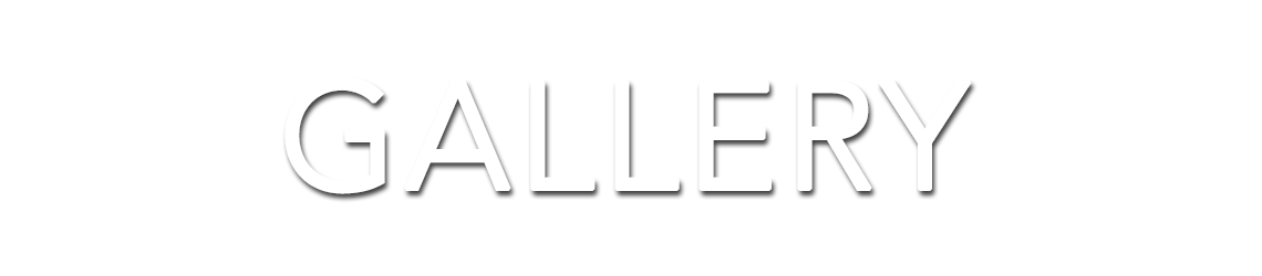 contact wheelhouse stratagy group