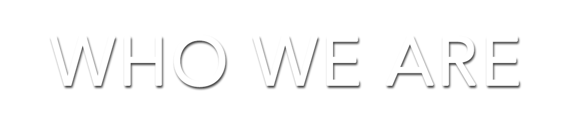 about wheelhouse stratagy group